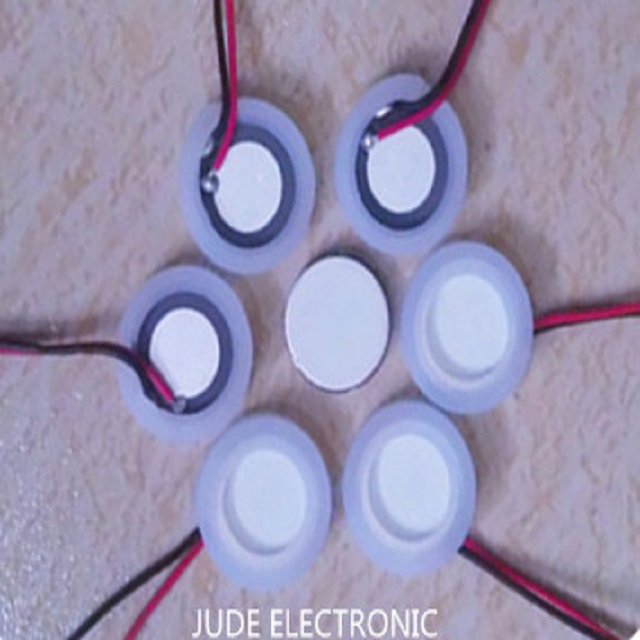 Componenti ceramici piezoelettrici per atomizzatore