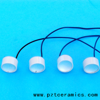 Jude Liposonix Ultrasonic Transduttore 1 MHz ~ 8 MHz Ceramica piezoelettrica
