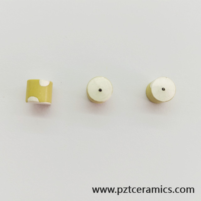 Sensore in ceramica piezoelettrica Piezo trasduttore produttore di prodotti personalizzati