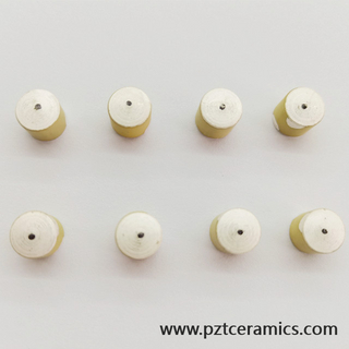 Sensore in ceramica piezoelettrica Piezo trasduttore produttore di prodotti personalizzati