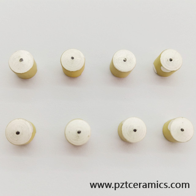 Sensore in ceramica piezoelettrica Piezo trasduttore produttore di prodotti personalizzati