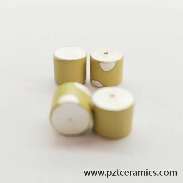 Sensore in ceramica piezoelettrica Piezo trasduttore produttore di prodotti personalizzati