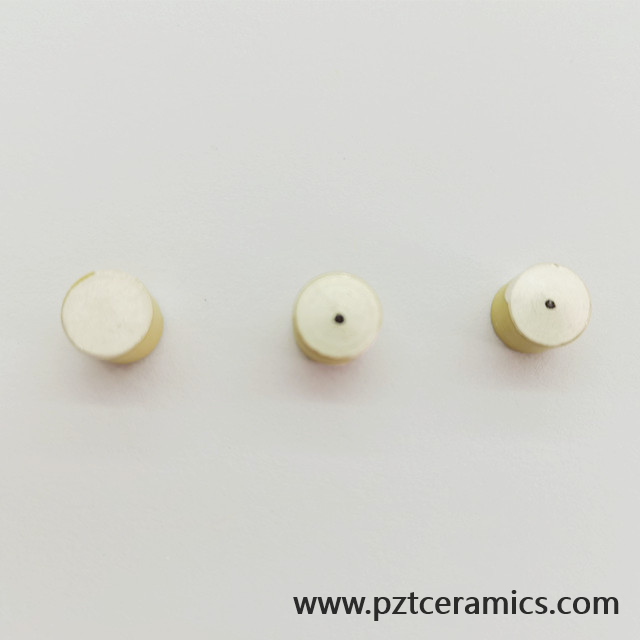Sensore in ceramica piezoelettrica Piezo trasduttore produttore di prodotti personalizzati