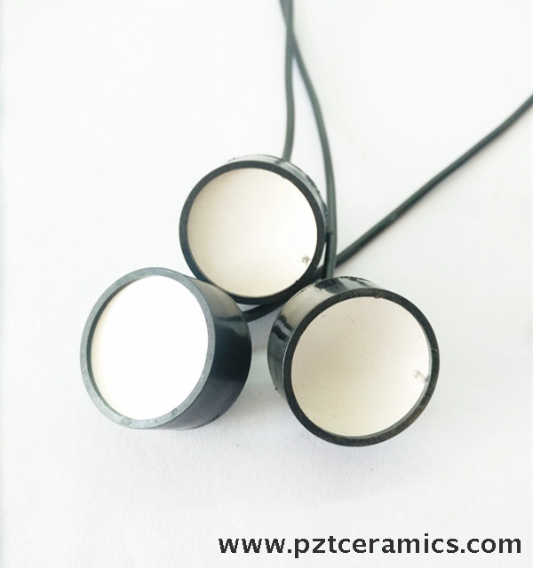 Transduttore focalizzato ad ultrasuoni-3