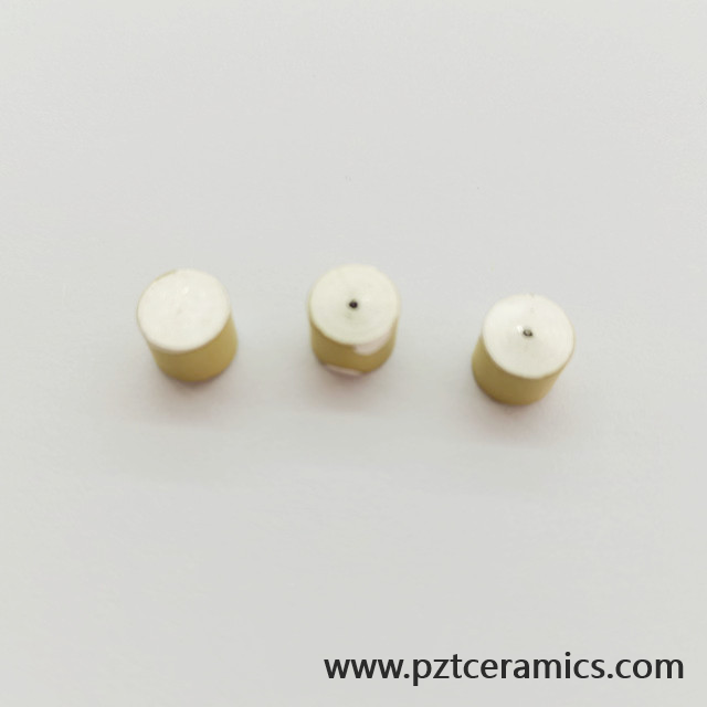 Sensore in ceramica piezoelettrica Piezo trasduttore produttore di prodotti personalizzati